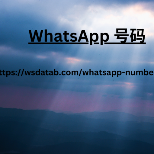 WhatsApp 号码 2