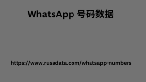 WhatsApp 号码数据