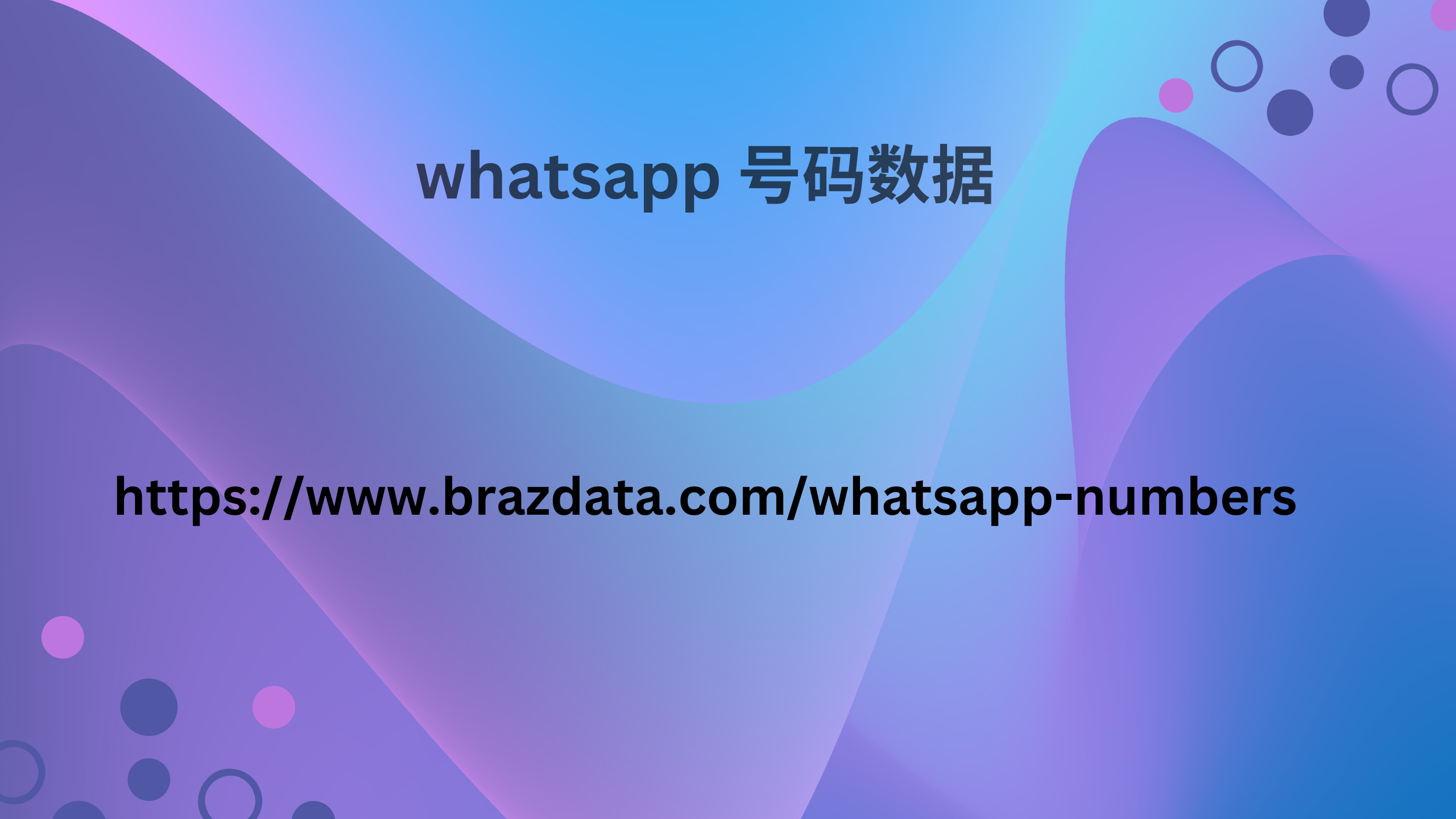 whatsapp 号码数据 